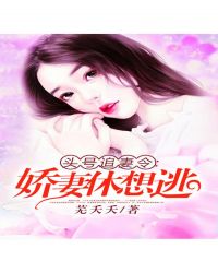 头号新宠